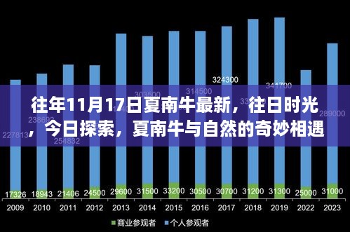 夏南牛与自然，奇妙相遇的往日时光与今日探索