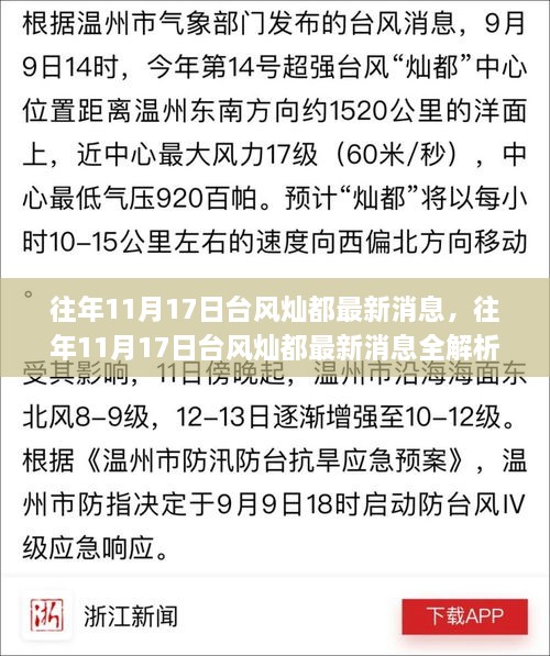 往年11月17日台风灿都最新消息解析与应对指南，轻松应对恶劣天气挑战