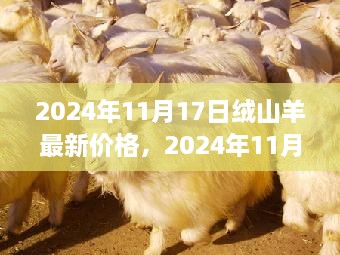 2024年绒山羊最新价格探析，多方观点与个人立场