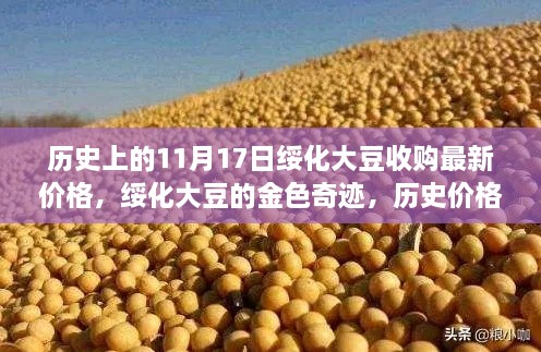 绥化大豆市场揭秘，历史价格变迁中的金色奇迹与学习鼓舞