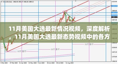 11月美国大选最新态势深度解析，各方观点与个人立场透视