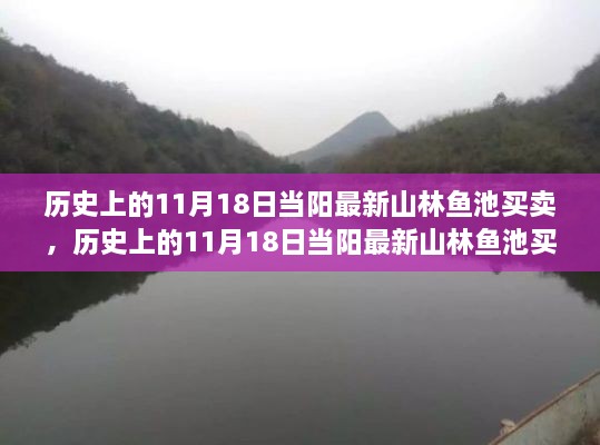 历史上的11月18日当阳山林鱼池买卖全攻略，入门到精通指南