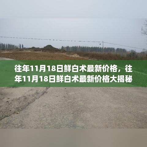 往年11月18日鲜白术价格深度解析，最新行情大揭秘标题建议，往年鲜白术最新价格揭秘，深度解析与行情趋势预测。