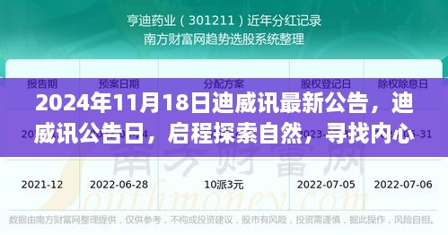 迪威讯启程探索自然，寻找内心的宁静之旅公告发布于2024年11月18日