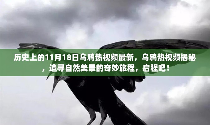 揭秘乌鸦热视频，追寻自然美景的奇妙旅程启程日——11月18日独家揭秘