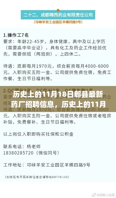 历史上的11月18日郫县药厂最新招聘信息深度解析及解析报告