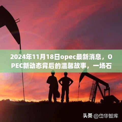 OPEC新动态背后的故事，石油与友情的奇妙交汇点（2024年11月18日最新消息）