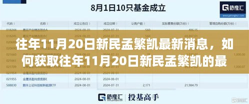 往年11月20日新民孟繁凯最新消息获取指南及步骤解析