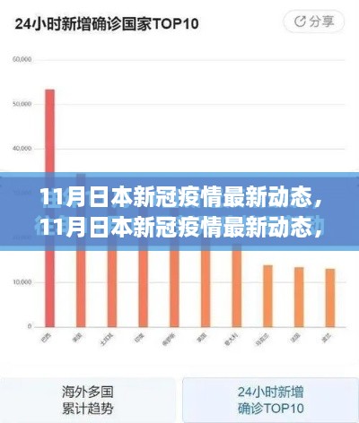 日本新冠疫情最新动态深度解析与案例分析，深度观察与案例分析（11月最新）