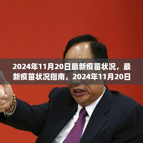 最新疫苗指南，如何完成疫苗接种步骤（2024年11月）