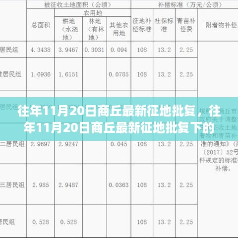 上海租房 第224页