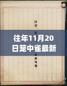 探秘十一月二十日笼中雀新篇章，巷弄深处的独特小店最新更新章节