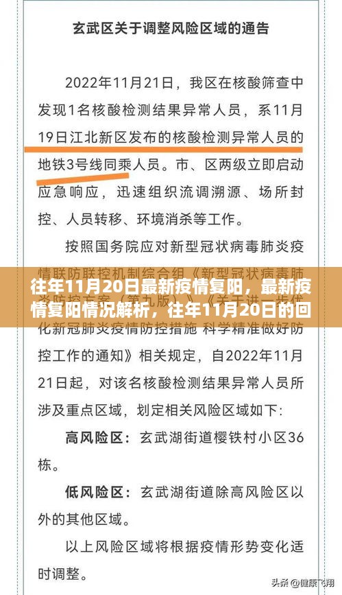 往年11月20日疫情复阳情况解析，回顾与启示标题建议，疫情复阳现象解析与启示，往年11月20日的回顾与前瞻。