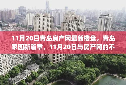 青岛房产网最新楼盘动态，家园新篇章的不凡邂逅（11月20日）