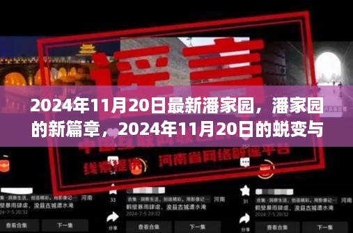 潘家园新篇章，2024年11月20日的蜕变与挑战