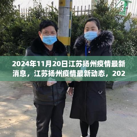 江苏扬州疫情最新动态，回顾与影响，扬州疫情最新消息（2024年11月20日）