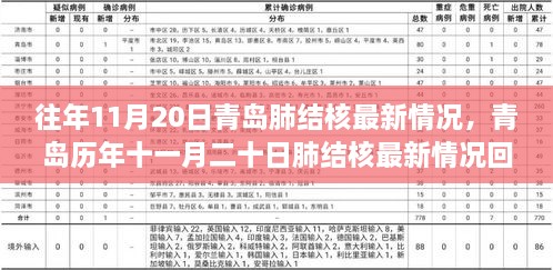 青岛历年肺结核最新情况回顾，背景、进展与影响分析（往年与最新数据）