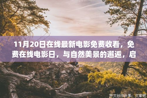 11月20日在线免费电影日，与自然美景邂逅，启程寻找心灵港湾