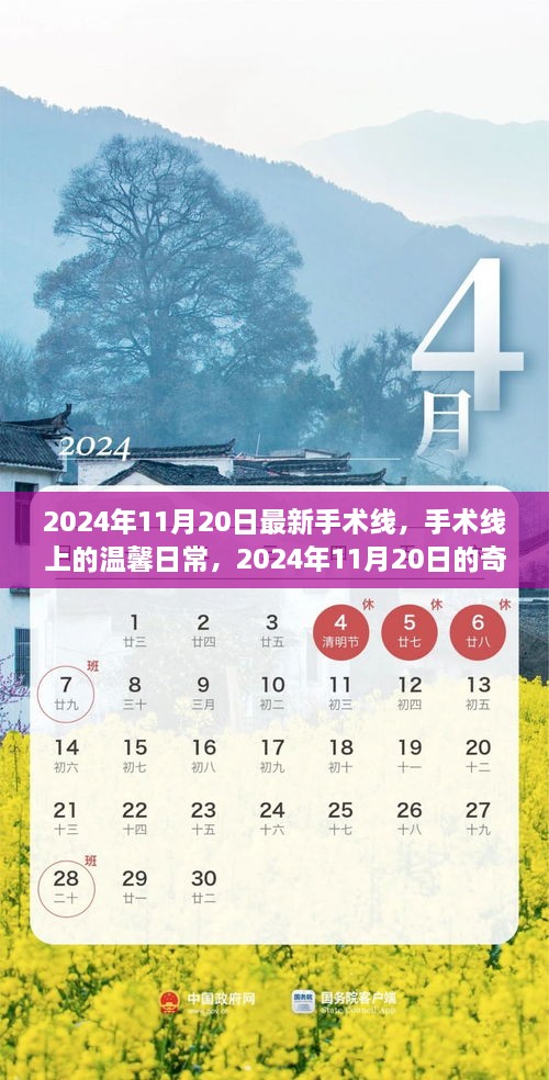 2024年11月20日最新手术线，手术线上的温馨日常，2024年11月20日的奇遇