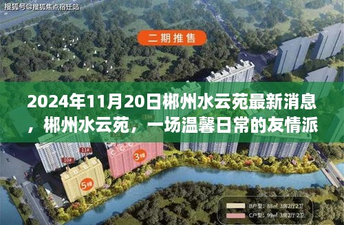 郴州水云苑友情派对，2024年最新动态与温馨日常