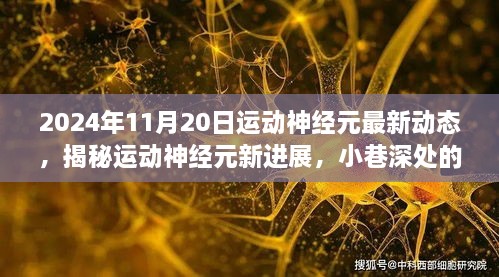 揭秘运动神经元新进展，神秘小店的未知魅力与最新动态（2024年11月）