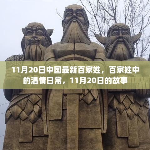 11月20日中国最新百家姓，百家姓中的温情日常，11月20日的故事