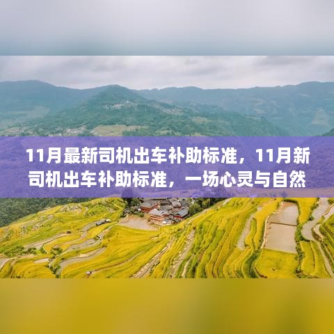 最新司机出车补助标准与心灵自然美景之旅的融合体验