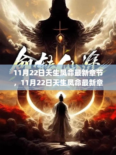 揭秘命运之谜，探寻人生巅峰之路——11月22日天生凤命最新章节揭秘