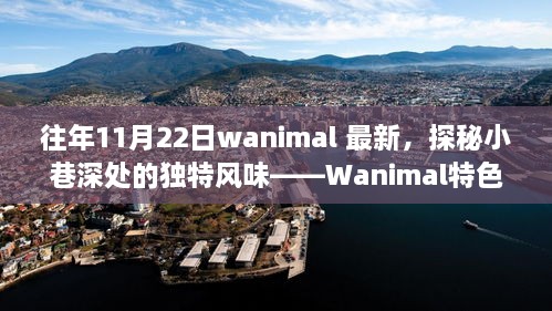 探秘小巷深处的独特风味，Wanimal特色小店最新报道