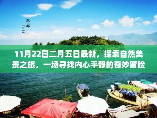 最新自然美景探索之旅，寻找内心平静的奇妙冒险（11月22日至二月五日）