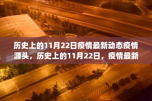 历史上的11月22日疫情动态更新，最新动态与疫情源头探索