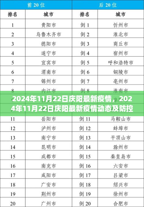 2024年11月22日庆阳疫情最新动态及防控措施分析