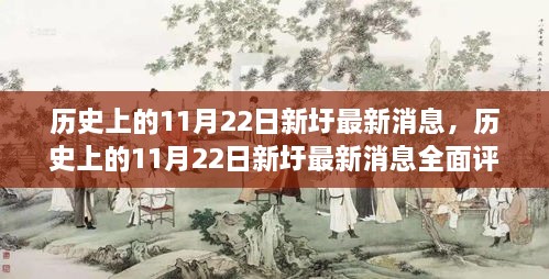 历史上的11月22日新圩最新消息全面解析，特性、体验、对比与用户群体分析