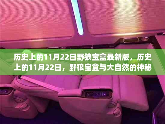 野狼宝盒的神秘探险之旅，历史上的11月22日