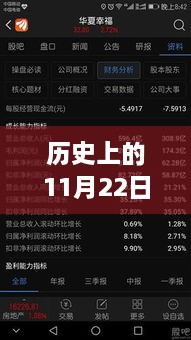 11月22日软件开发的革命性步伐，塑造未来的自信与成就之路