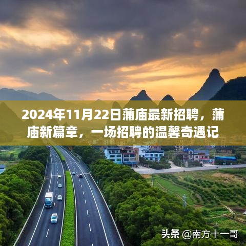 蒲庙新篇章，2024年11月22日招聘温馨奇遇记