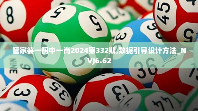 管家婆一码中一肖2024第332期,数据引导设计方法_NVJ6.62