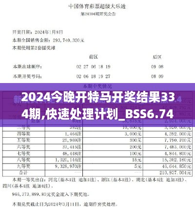 2024今晚开特马开奖结果334期,快速处理计划_BSS6.74