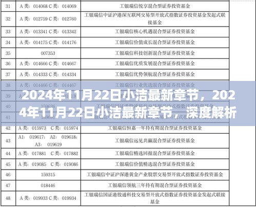 深度解析，2024年11月22日小洁最新章节观点解析