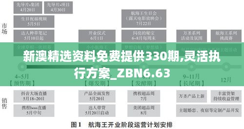 新澳精选资料免费提供330期,灵活执行方案_ZBN6.63