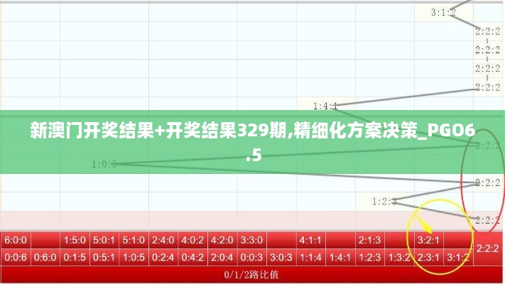 新澳门开奖结果+开奖结果329期,精细化方案决策_PGO6.5