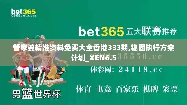 管家婆精准资料免费大全香港333期,稳固执行方案计划_XEN6.5