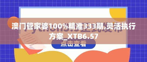 澳门管家婆100%精准333期,灵活执行方案_XTB6.57