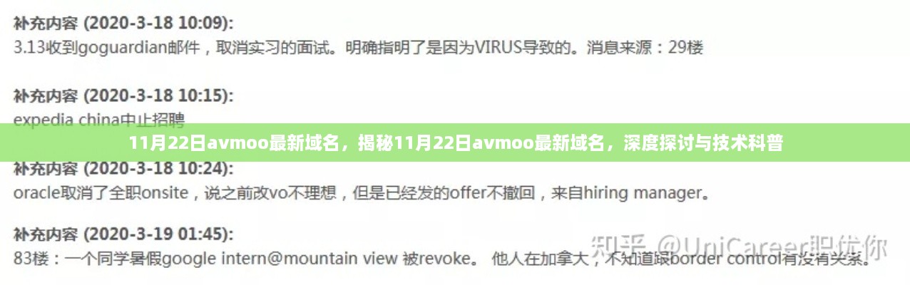 揭秘，最新AVmoo域名解析与深度技术科普讨论（11月22日更新）