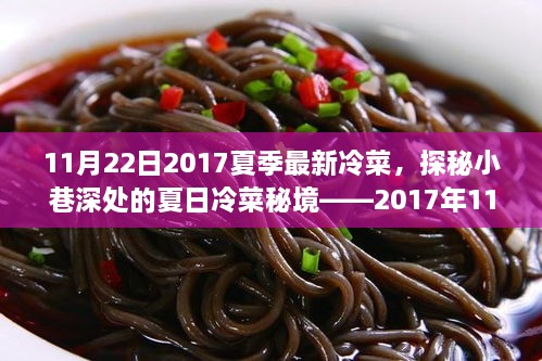 探秘夏日冷菜秘境，2017年11月最新美食之旅揭秘小巷深处的冷菜秘境