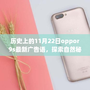 历史上的11月22日OPPO R9s新广告语揭秘，探索自然秘境，领略宁静之美的心灵之旅