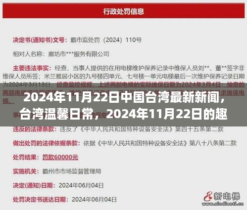 台湾温馨日常，趣事与情感纽带在时光中的展现（2024年11月22日最新新闻）