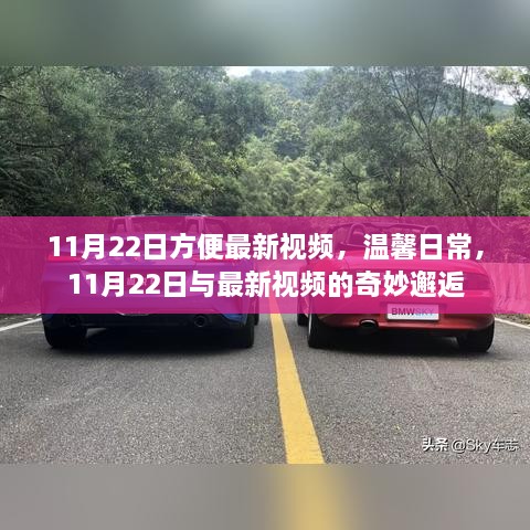 温馨日常与最新视频的奇妙邂逅，11月22日精彩回顾