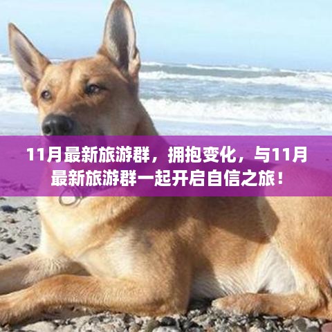 11月最新旅游群，拥抱变化，启程自信之旅！