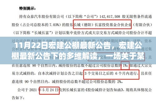 宏建公棚最新公告多维解读，深入探讨某某观点